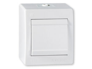 PREKIDAČ OG NAIZMENIČNI 10A/250V - ALING CONEL 253