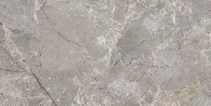 WALTER GREY GLOSSY 30 x 60 PLKBWG30