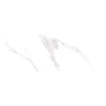 PLOČICE LENOX WHITE BRILLO 30*90 1.35 ZID