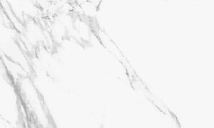 PLOČICE CALACATTA WHITE MAT BC 33.3X55 1.84