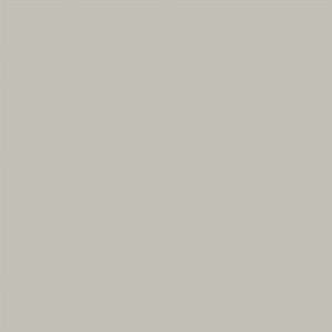 Carpenter Taupe RC STD 60x60 1.44 M2 1 KL