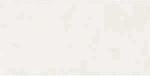 Dual White 30x60 1.62 m2 Argenta