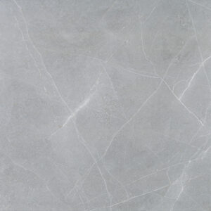 PLOČICE ELEGANT GRIGIO WT/FT 60X60