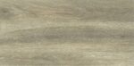 PLOČICE FOREST BIRCH 30X60
