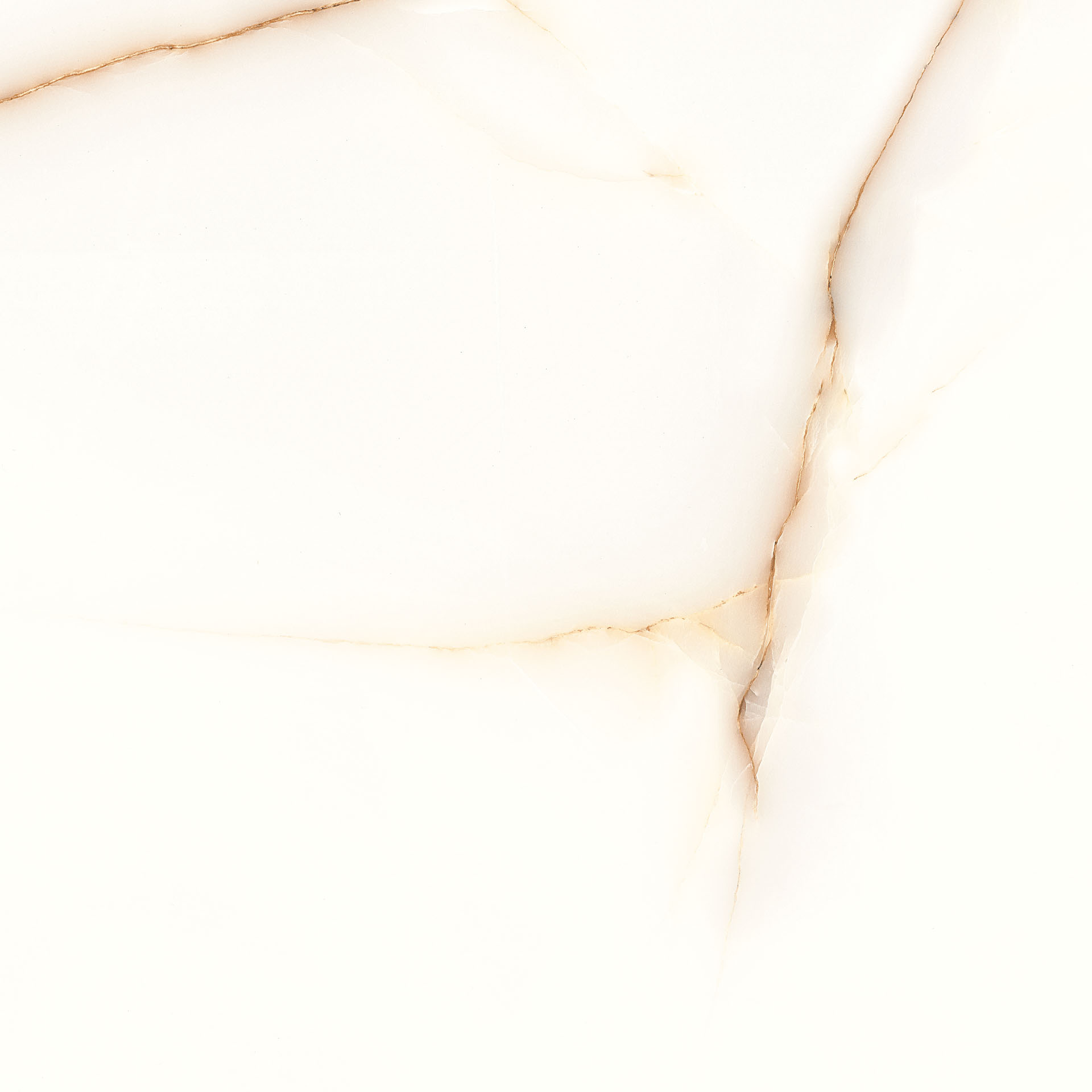 PLOČICE IMPERIAL GOLD WT/FT 60X60 - Slika 4