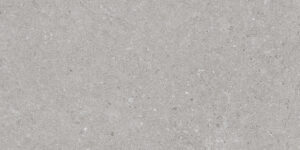 PLOČICE NATURAL GRIGIO WT/FT 30X60