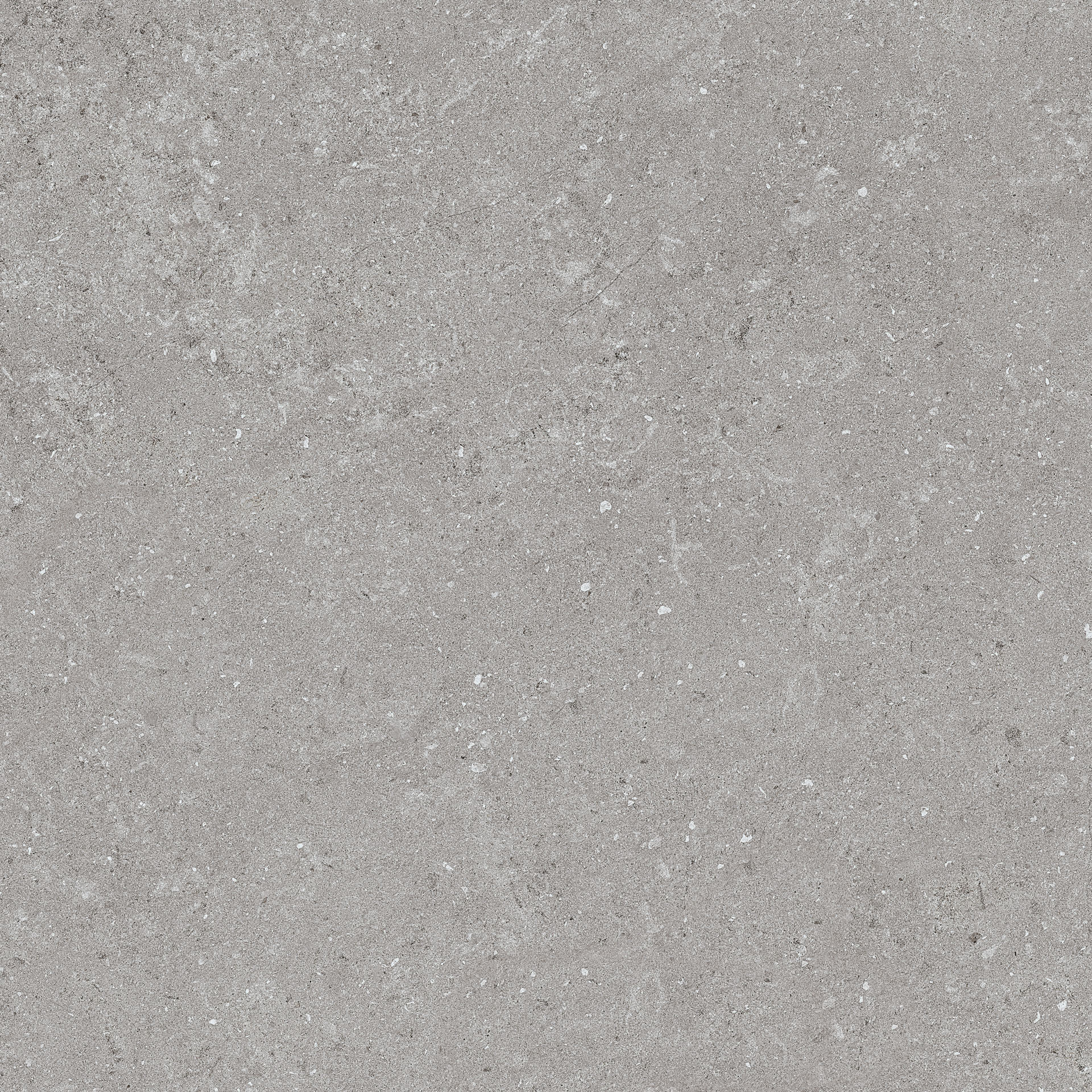 PLOČICE NATURAL GRIGIO WT/FT 60X60 - Slika 4