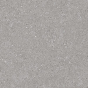 PLOČICE NATURAL GRIGIO WT/FT 60X60