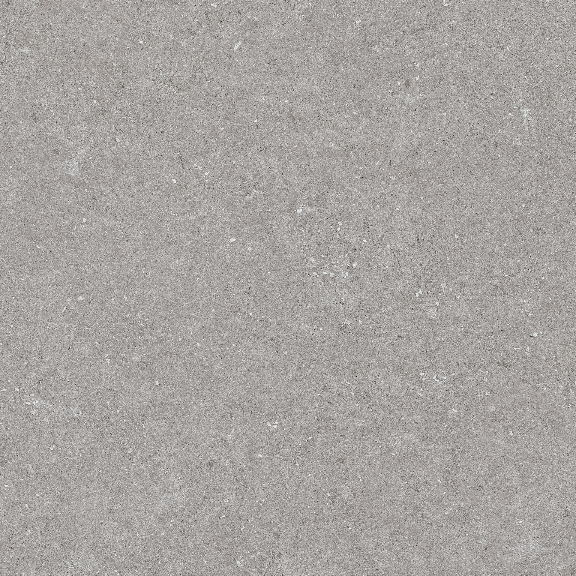 PLOČICE NATURAL GRIGIO WT/FT 60X60