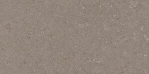 PLOČICE NATURAL TAUPE WT/FT 30X60