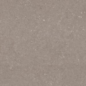 PLOČICE NATURAL TAUPE WT/FT 60X60
