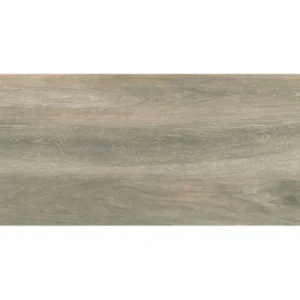 PLOČICE FOREST ASH 30X60