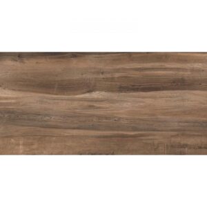 PLOČICE DRIFTWOOD BROWN RET. 60*120 1.44